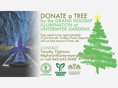 DONATE A TREE: For The Grand Holiday Illumination At Untermyer Park. 
